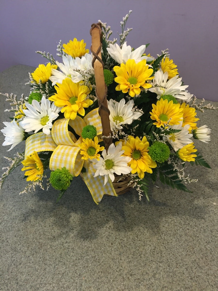 Sunshine Daisy Basket (SDB) - Wanting to send some sunshine?  Yellow and white daisies accented with a touch of green button mums and finished with a bow will be sure to bring some cheer.