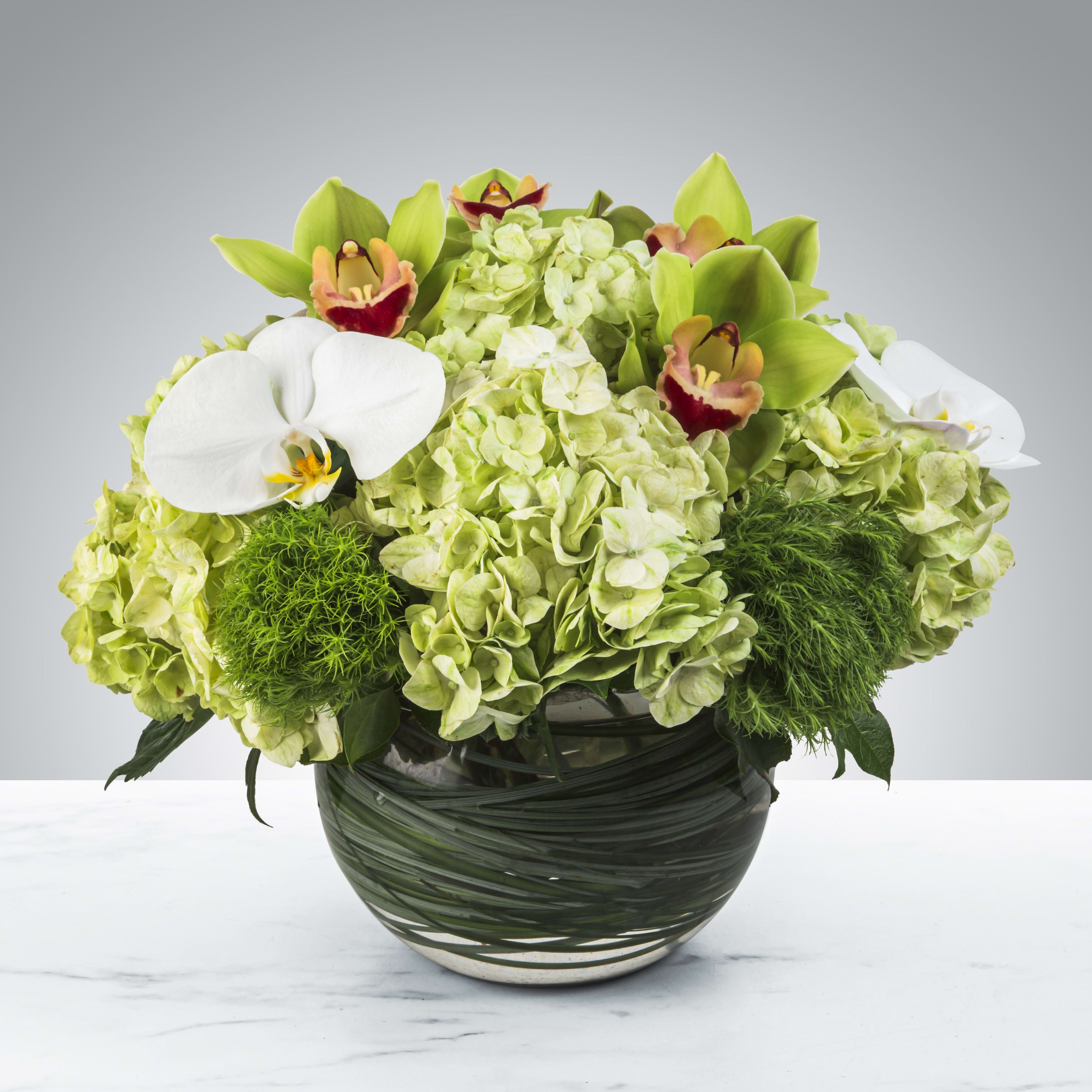 Smiles all Around  - Two different types of orchids and hydrangea come together for this bubble bowl of blooms. Send it as a gift for Admin Day, Employee Appreciation Week or Boss's Day.   APPROXIMATE DIMENSIONS 16&quot; W X 14&quot; H