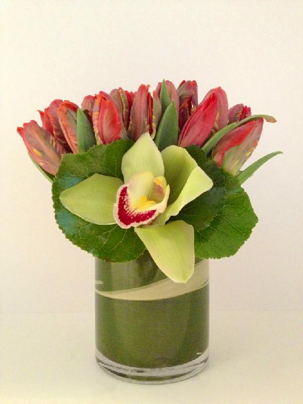 Hot Top - An arrangement of all red parrot tulips and accented with a single green cymbidium blossom, in a leaf lined low cylinder vase.
