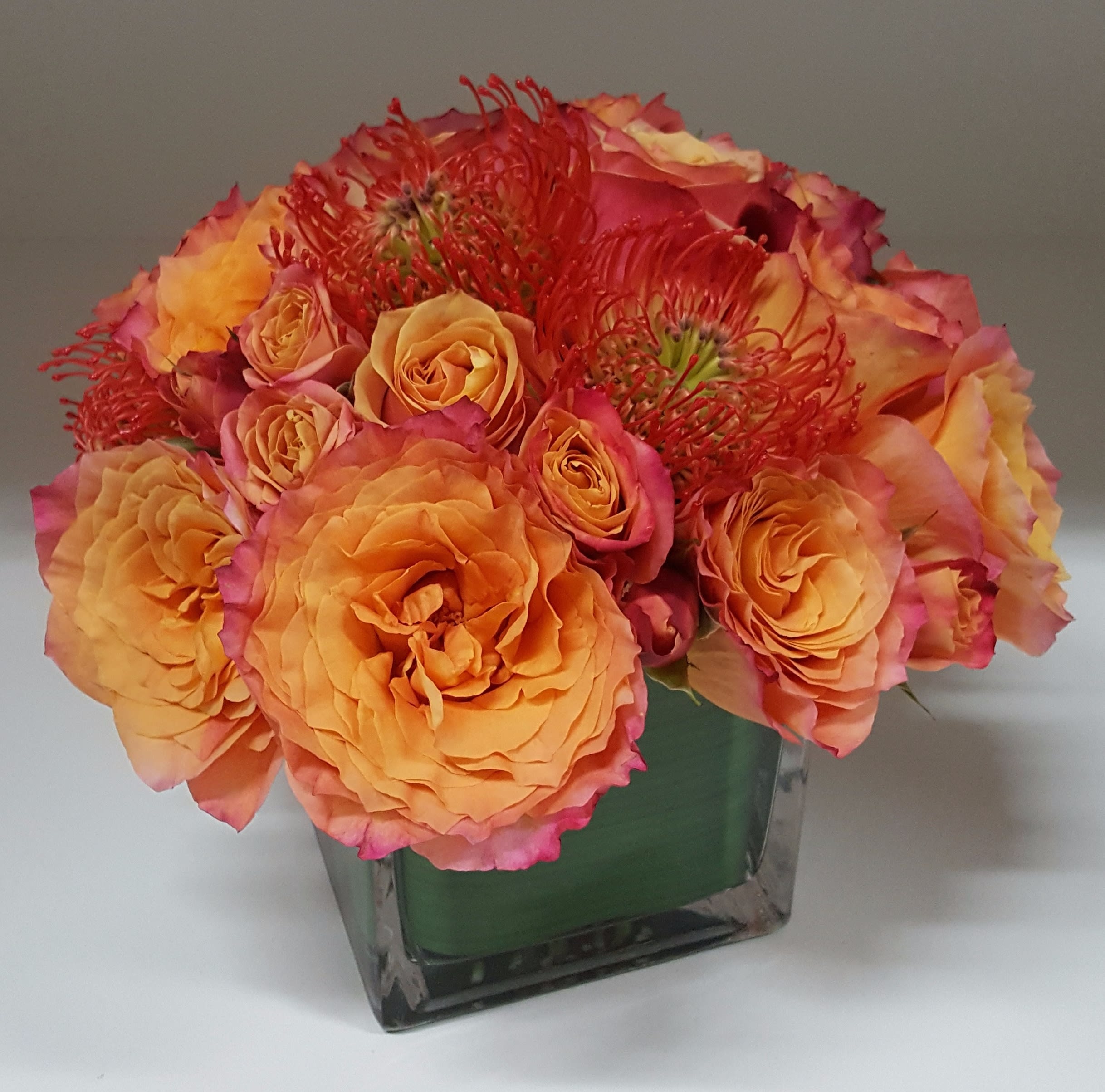 Calypso - Fiery medley of gorgeous cherry brandy and orange spray roses complemented by the textured look of orange protea pin cushions makes a lovely seasonal gift. All arranged in 5”x 5” leaf lined clear cube. Approximate dimensions: 11”x 10”