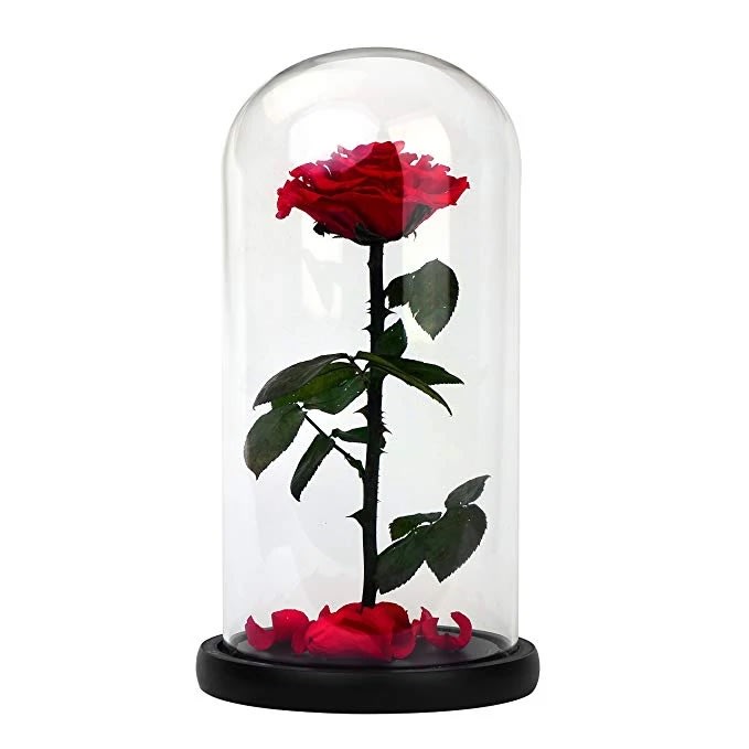 Beauty & Beast Preserved Rose Glass Dome by Leon Flowers inc.