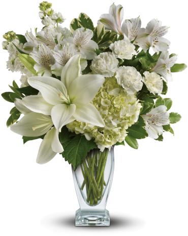 Purest Love Bouquet - Pure love deserves the pure luxury of this wondrous white bouquet. Fragrant lilies, lush hydrangea and delicate alstroemeria are carefully arranged in our Couture vase for an elegant look they will adore.  This snow-white bouquet includes hydrangea, asiatic lilies, alstroemeria, miniature carnations, stock and fresh green pittosporum. 