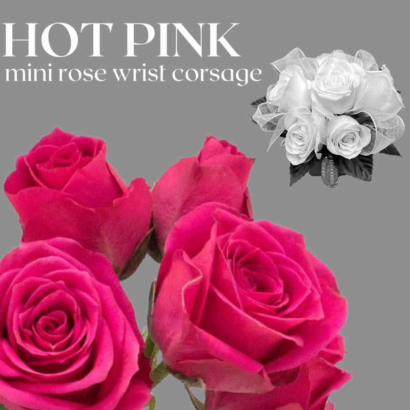 Hot Pink Mini Rose Wrist Corsage In Peabody Ma Evans Flowers