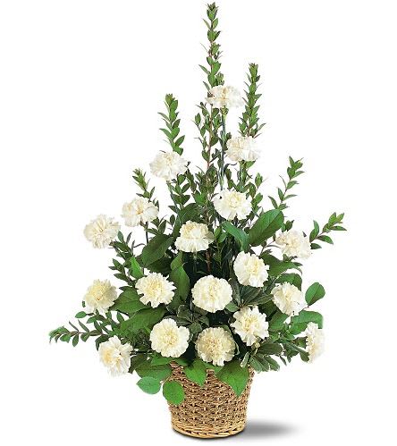 TF186-3 White Simplicity Basket - One arrangement with white carnations and decorative foliage is delivered in a natural-textured basket. Approximately 24&quot; W x 34&quot; H