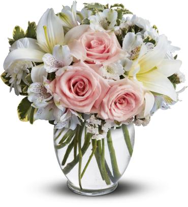 Arrive In Style - When you want your best wishes to arrive in high style, go with this fashionable, feminine bouquet! Full and fragrant, it gathers soft pink roses with white lilies, alstroemeria and mums into a rounded ginger vase.  Light pink roses, white asiatic lilies, white alstroemeria and white cushion spray chrysanthemums are mixed with white statice and variegated pittosporum in a clear, rounded vase. 
