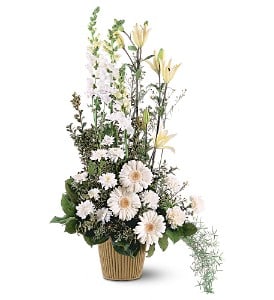 White Impressions [TF194-2] - With its striking array of white flowers, this arrangement will fill any room with the warmest impressions of all.  One arrangement with white carnations, chrysanthemums, gerberas, Asiatic lilies, asters and snapdragons arrives in a classic container.  Approximately 21&quot; W x 37&quot; H  Orientation: One-Sided      As Shown : TF194-2  