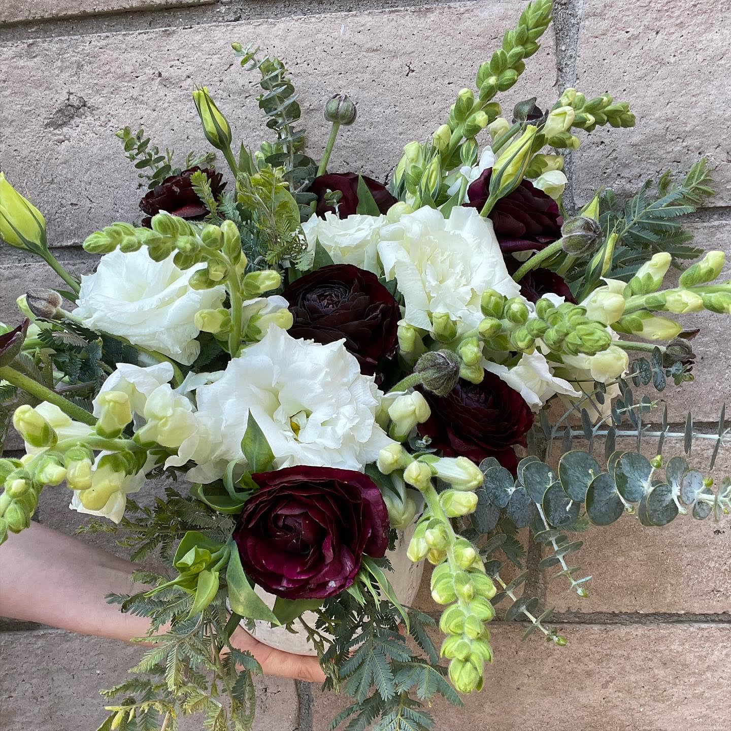 Kiss On My List - Precious mix of burgundy ranunculus, white Lisianthus and white Snapdragons in textured mixed eucalyptus and Acacia (seasonal). The highly contrasted arrangement is nestled in a white keepsake ceramic vase making it a luxurious and lovely gift. 