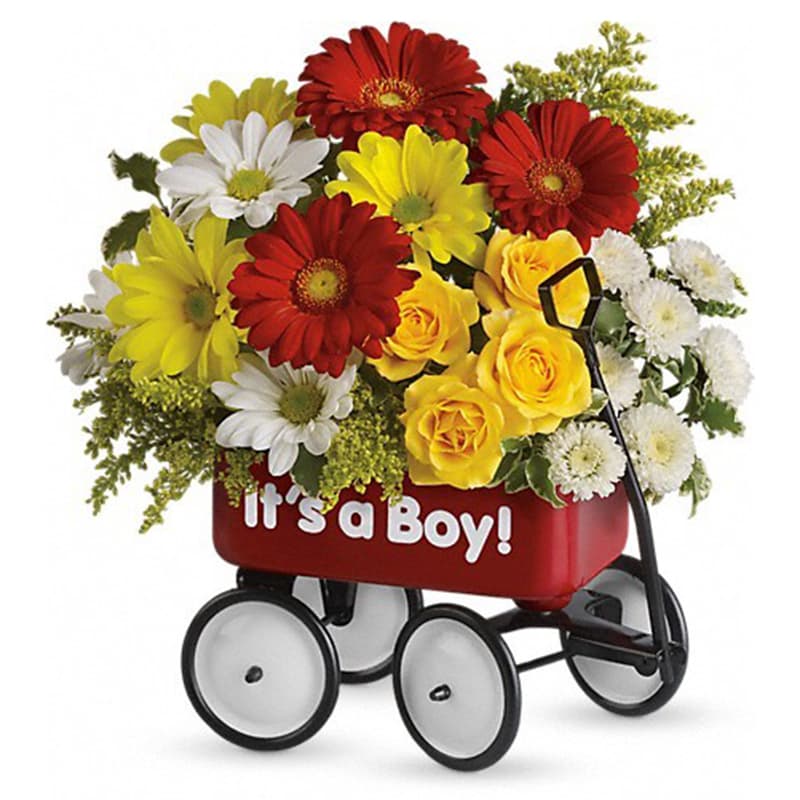 Baby's Wow Wagon - Boy [T35-1A] - Talk about the perfect welcome wagon! Available for boys and girls, this darling keepsake will be cherished for years. Bright, cheerful and ready to &quot;roll&quot; right into the nursery.  Pretty yellow spray roses, red miniature gerberas and matsumoto asters, white and yellow daisy spray chrysanthemums, white button spray chrysanthemums and solidago are lovingly arranged in a wagon. The wow factor is now officially off the charts!  Approximately 11&quot; W x 11 1/2&quot; H  Orientation: One-Sided      As Shown : T35-1A