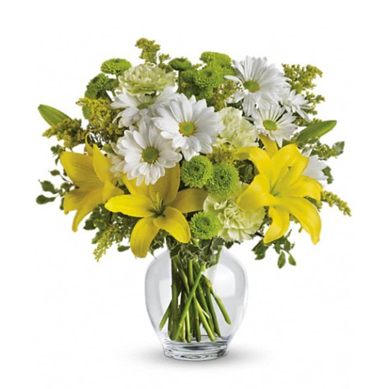 Brightly Blooming [TEV11-2A] - Let the sunshine in with this bevy of bright blooms - yellow lilies, green carnations and other sunny favorites beautifully arranged in a classic ginger jar. Perfect for birthday, get well, thank you - or just to say &quot;Hi!&quot; They'll love it.  This impressive bouquet includes yellow asiatic lilies, green carnations, white daisy spray chrysanthemums and green button spray chrysanthemums accented with assorted greenery. Delivered in a glass ginger jar.  Approximately 15&quot; W x 15 1/2&quot; H  Orientation: All-Around      As Shown : TEV11-2A