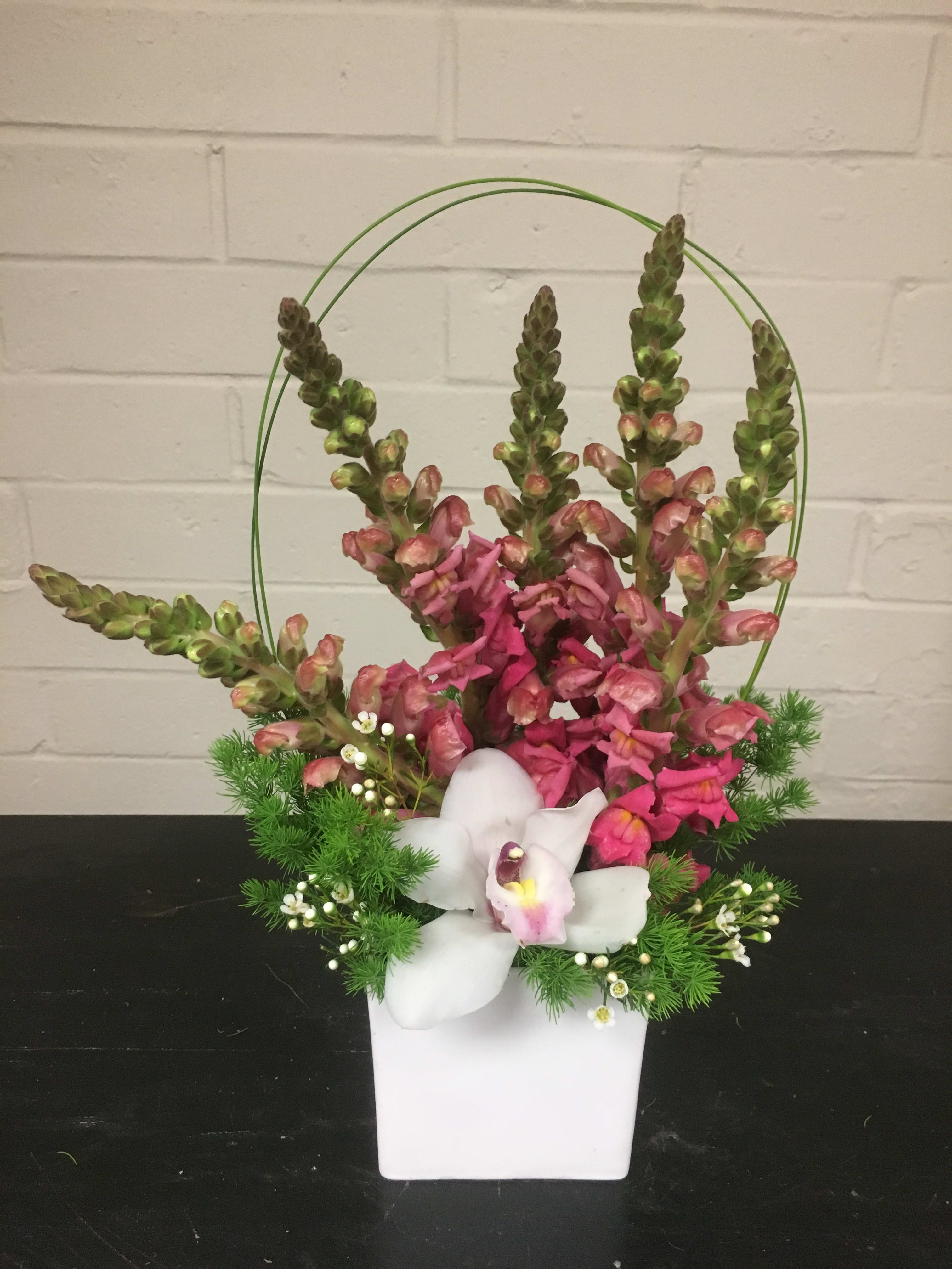 Mother of SnapDragons - Approx Dimensions:  4L x 4W x 15H  Chic arrangement full of blooms and colors including Snapdragons, Cymbidium Orchids, Ming Greens and wax flowers in a ceramic vase