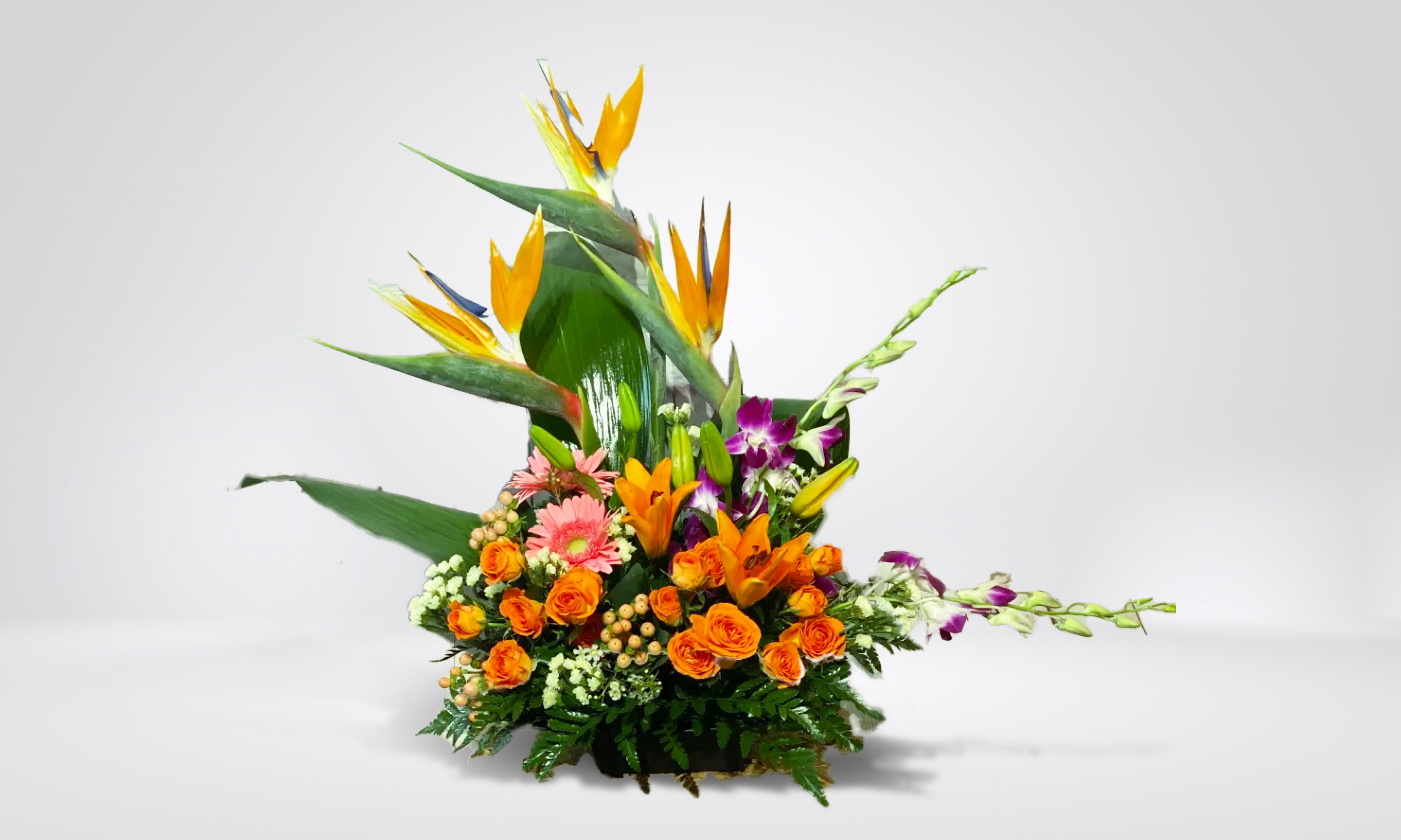 High Rise Prize - Graceful, cheerful, and wonderfully dazzling! This modern-style arrangement is a sure winner.  Stunning, tall birds of paradise stand out among lilies, spray roses, orchids, and more in this elegant display
