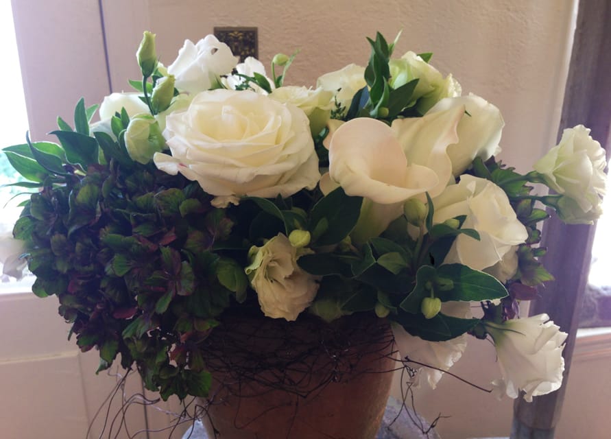Celtic Celtic - Green Hydrangeas, White Lisianthus, Helleborus, and White Roses in a clay pot