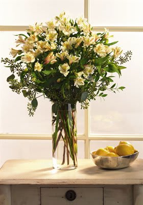 White/Yellow Alstroemeria  - If you want to express your gratitude with grace and style, send them this bouquet of glorious alstroemeria. They'll thank you right back.   Approximately 18&quot;H x 13&quot;W