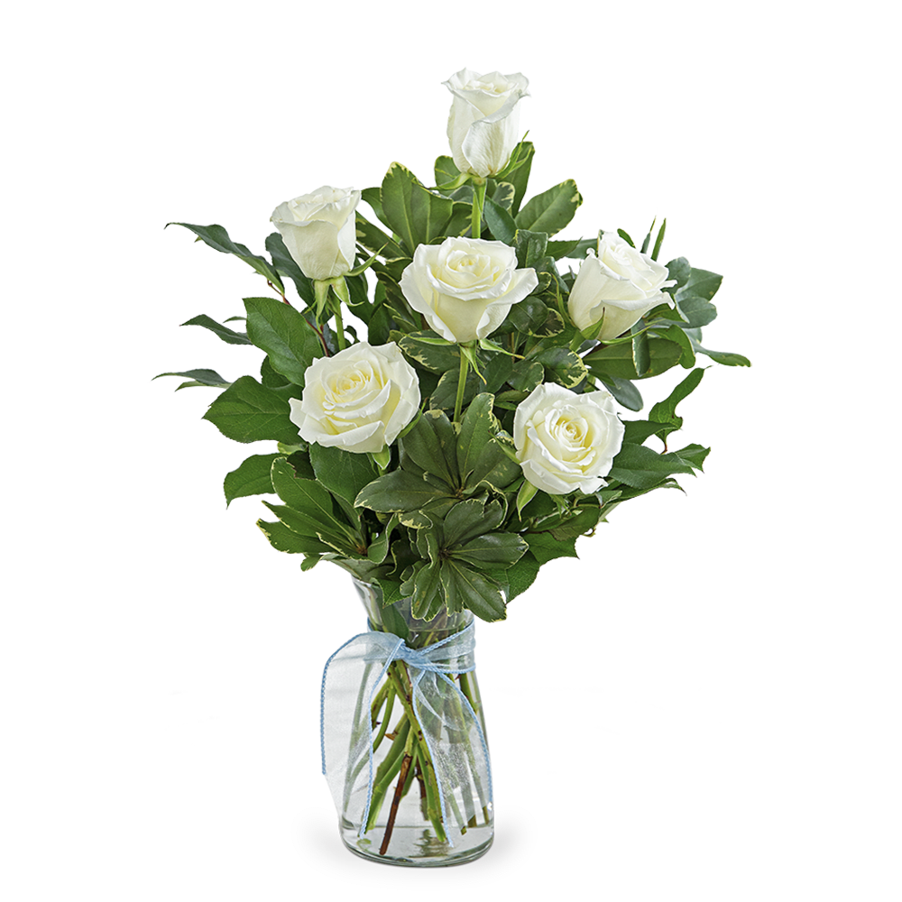 Baby Boy Bliss - White roses symbolize purity, innocence, and new beginnings. Baby Boy Bliss is the perfect gift for welcoming a new baby boy to the family. Baby Boy Bliss features a half dozen white roses, premium foliage, and a baby blue ribbon accent.  