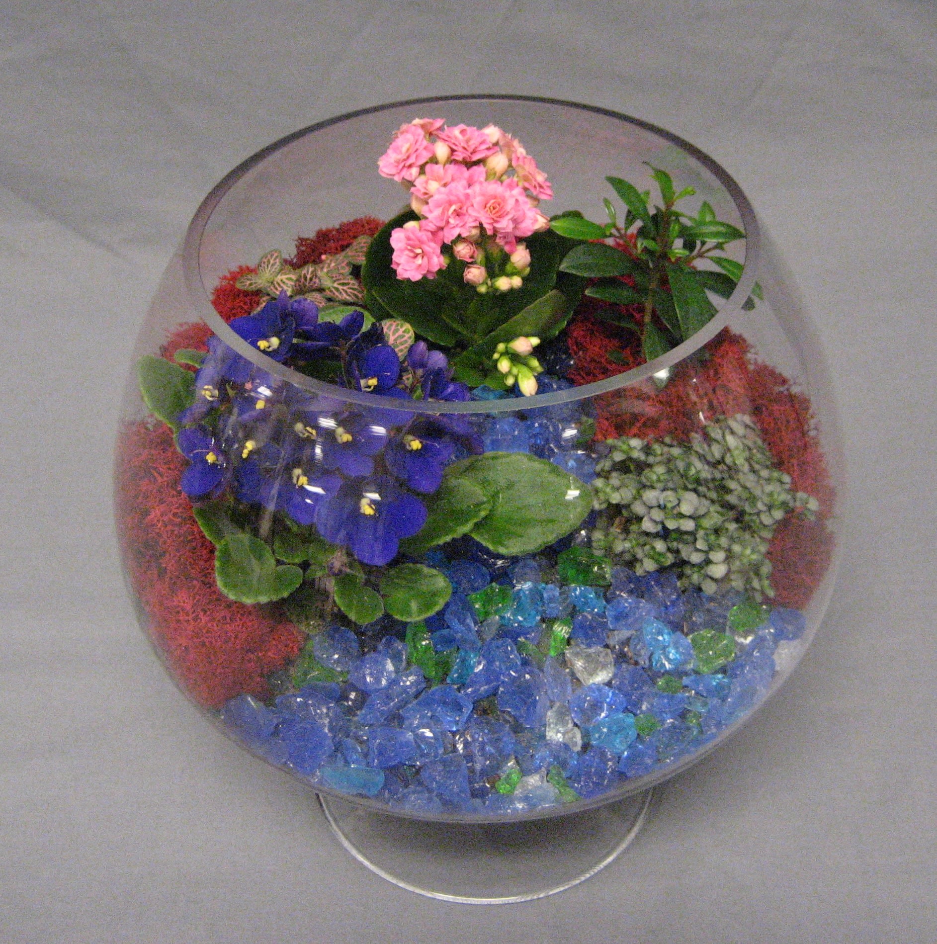 Terrarium IG-002 - Terrariums are a classic that everyone loves. Designed in a glass bowl, miniature plants, accessories, colored glass and accents finish this one-of-a-kind gift!  Garden will be designed with similar products and keepsakes to fit the recipient and the occasion.  **PLEASE NOTE: plant selection may differ from the ones pictured.