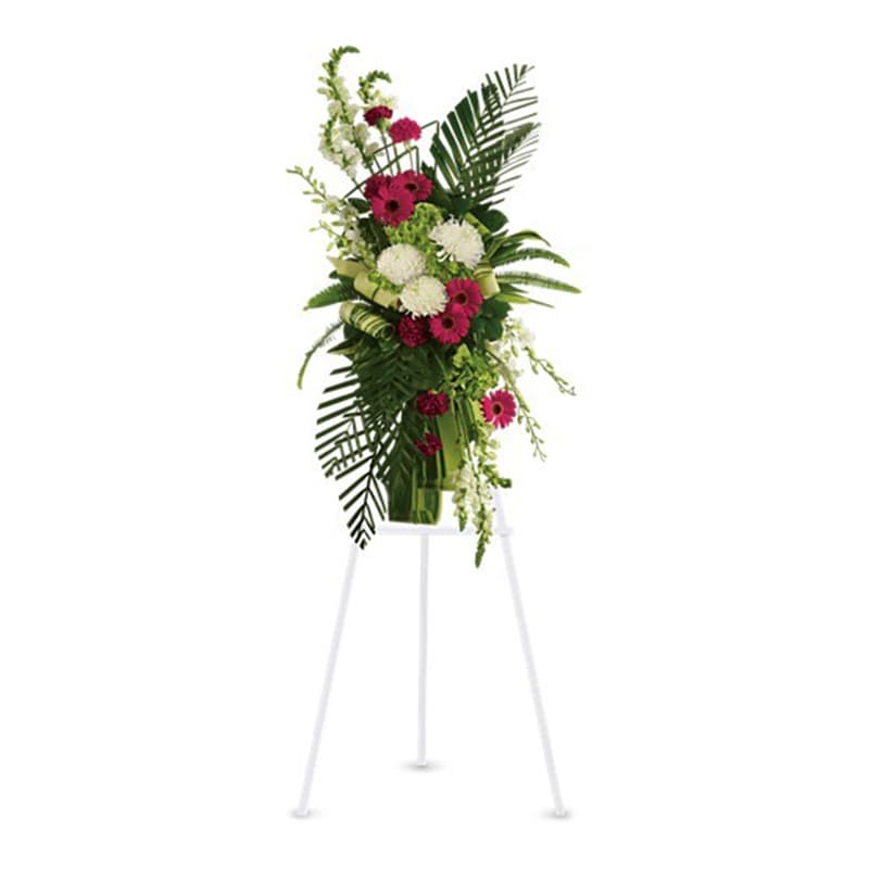 Gerberas and Palms Spray [T246-3A] - Convey your respect and admiration with this spray of striking red and white funeral flowers. Red gerberas and carnations complement white orchids, snapdragons and chrysanthemums, all set against the deep greens of tropical palm leaves.  Beautiful flowers such as red gerberas and carnations, white orchids, snapdragons and chrysanthemums, plus tropical palm leaves and ferns.  Approximately 26&quot; W x 46&quot; H  Orientation: One-Sided  As Shown : T246-3A