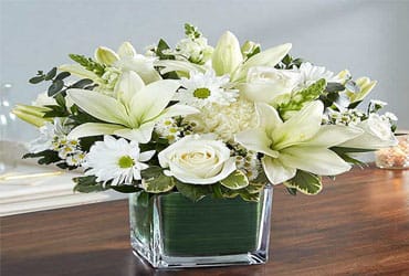 HEALING TEAR - &quot;Send someone a bit of heaven with this beautiful bouquet. Luxurious crème roses and pure white lilies paint a peaceful picture inside a TI leaf wrapped cube vase.  Crème roses, white asiatic lilies and white daisy pom are mixed with burst of white monte casino, snap dragons, spider mums and green pitta negra. Delivered in a glass Cube.  SET: All-Around&quot;