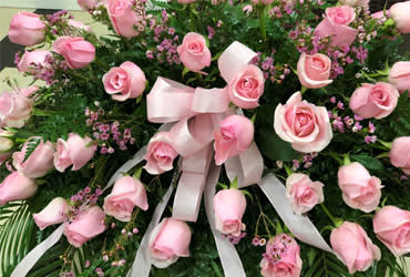 PINK ROSES TRIBUTE CASKET SPRAY PINK ROSES TRIBUTE CASKET SPRAY - "A loving embrace of rich, regal roses in an all-pink spray to adorn the casket. A full spray of Queen Elizabeth pink roses, alternating large with slightly smaller. Pink wax SET: One-Sided"