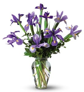 Incredible Iris [TF59-1] - With beautiful shades of blue, this iris bouquet will leave someone special feeling anything but blue.  Two colors of blue iris with foliage arrive in a clear glass vase.  Approximately 21&quot; W x 23&quot; H  Orientation: One-Sided      As Shown : TF59-1  
