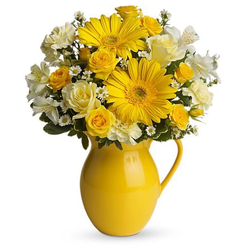 Sunny Day Pitcher of Cheer [T57-1A] - This bouquet is just bright for any occasion! A bright and sunny medley of flowers is hand-delivered in a brilliant ceramic pitcher that can be joyfully used over and over again.  Light yellow roses and carnations, yellow spray roses, gerberas and alstroemeria, white monte cassino asters and pittosporum arrive in an exclusive yellow keepsake pitcher. Now that's what we call pitcher perfect!  Approximately 13&quot; W x 15 1/2&quot; H  Orientation: One-Sided      As Shown : T57-1A