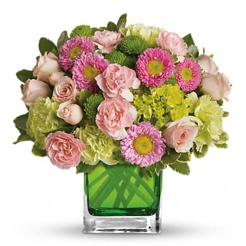Make Her Day [TEV20-3A] - Sweetly sophisticated, this arrangement of green miniature hydrangea and light pink spray roses presented in our citrus green glass cube is the perfect gift.  Includes green miniature hydrangea, light pink spray roses, green carnations, pink miniature carnations, pink matsumoto asters and green button spray chrysanthemums accented with assorted greens. Delivered in Teleflora's glass citrus cube.  Approximately 11 1/4&quot; W x 11&quot; H  Orientation: One-Sided      As Shown : TEV20-3A
