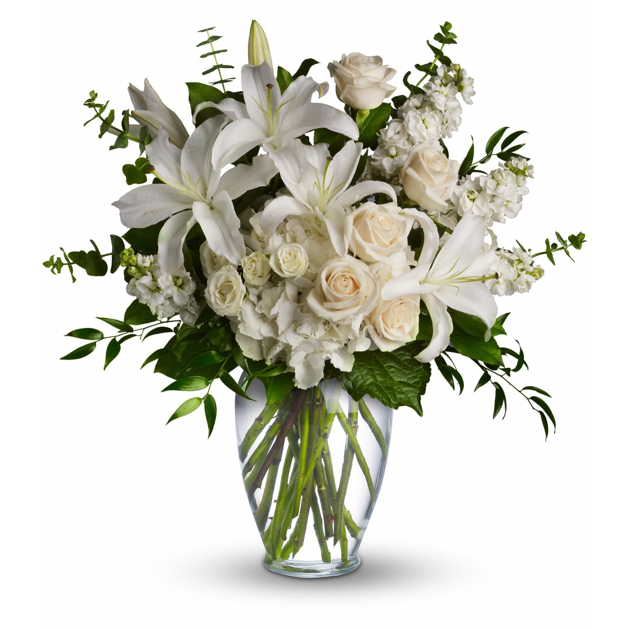 T208-1A Dreams From the Heart Bouquet by Teleflora - A lovely bouquet to soothe and comfort, a variety of white and peach blossoms sends your hope and strength. Beautifully.  Beautiful flowers such as white hydrangea, spray roses and stock, peach roses, eucalyptus and more fill a tall glass vase.  Approximately 24&quot; W x 24 1/2&quot; H  Orientation: One-Sided      As Shown : T208-1A     Deluxe : T208-1B     Premium : T208-1C   