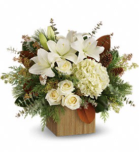 Snowy Woods Bouquet [TWR14-2A] - Hand-delivered in a chic bamboo cube, this extraordinary bouquet of snowy-white blooms and fresh greens is a modern winter gift.  This winter bouquet includes white hydrangea, white roses, white asiatic lilies, magnolia leaves, seeded eucalyptus, spiral eucalyptus, flat cedar and white pine. Delivered in a bamboo cube.  Approximately 21 1/2&quot; W x 18&quot; H  Orientation: One-Sided      As Shown : TWR14-2A
