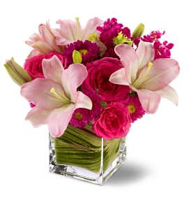 Posh Pinks [TFWEB147] - Show impeccable taste when you send this stylish bouquet of hot pink roses, pale pink lilies and mixed blossoms, arranged in a modern glass cube vase. Pretty, posh and perfectly high-class!  Hot pink roses and Matsumoto asters, pink LA hybrid lilies and burgundy stock arrive in a clear glass Teleflora cube vase lined with variegated ti leaves.  Approximately 11.5 &quot; (W) x 11&quot; (H)  Orientation: All-Around      As Shown : TFWEB147  