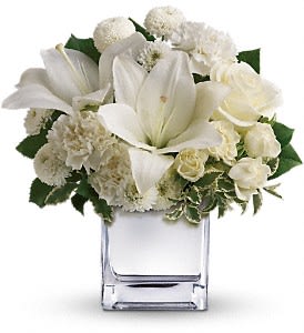 Teleflora’s Peace and Joy Bouquet   - The elegant holiday bouquet includes white roses, white Asiatic lilies, white carnations and white button spray chrysanthemums accented with assorted greenery. Approximately 11&quot; W x 11 1/2&quot; H