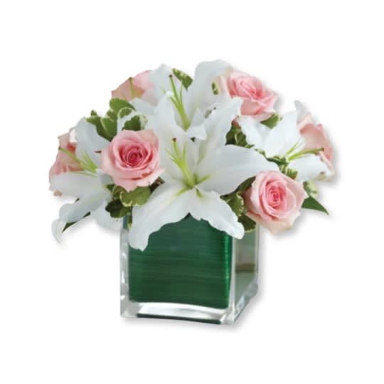 Simple &amp; Sweet  - Contemporary elegance meets classic style with this stunning bouquet. Gorgeous fresh pink roses share the stage with showy white lilies. Gathered in a chic cube vase lined with exotic Ti leaf ribbon. 