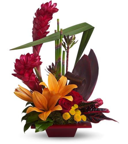 Teleflora's Tropical Bliss Teleflora's Tropical Bliss - Now this is bliss! This tropical and tasteful creation is a beautiful and dramatic way to say something wonderful without using any words. Dark red roses orange asiatic lilies green leucadendron yellow button spray chrysanthemums and tropical greens are delivered in a red bamboo dish. Don't miss this chance to send bliss!Approximately 16" W x 20" H Orientation: One-Sided As Shown : T85-1ADeluxe : T85-1BPremium : T85-1C