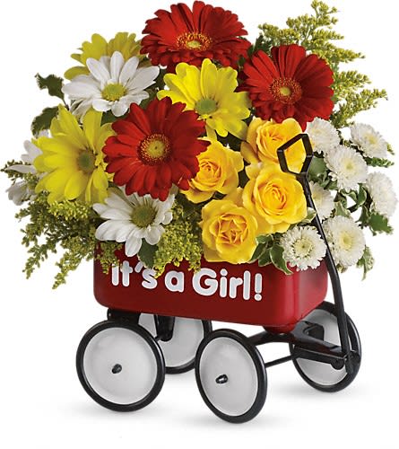 Baby's Wow Wagon by Teleflora - Girl Baby's Wow Wagon by Teleflora - Girl - Talk about the perfect welcome wagon! Available for boys and girls this darling keepsake will be cherished for years. Bright cheerful and ready to "roll" right into the nursery. Pretty yellow spray roses red miniature gerberas and matsumoto asters white and yellow daisy spray chrysanthemums white button spray chrysanthemums and solidago are lovingly arranged in a wagon - the wow factor is now officially off the charts!Approximately 11" W x 11 1/2" H Orientation: All-Around As Shown : T97N400ADeluxe : T97N400BPremium : T97N400C