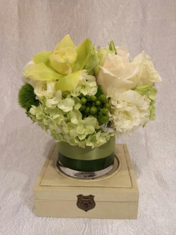 Satin Green - Elegant display of soft green tones and a splash of white designed in a low cylinder vase with green satin ribbon. around.