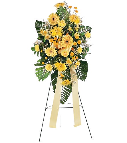 Brighter Blessings Spray - This spray offers an array of bright yellow flowers in tribute to a joyous life. One standing spray arrives on an easel with yellow alstroemeria, carnations, chrysanthemums and gerberas. Flowers substitutions may apply, but same look and feel. Approximately 24&quot; W x 55&quot; H Orientation: One-Sided