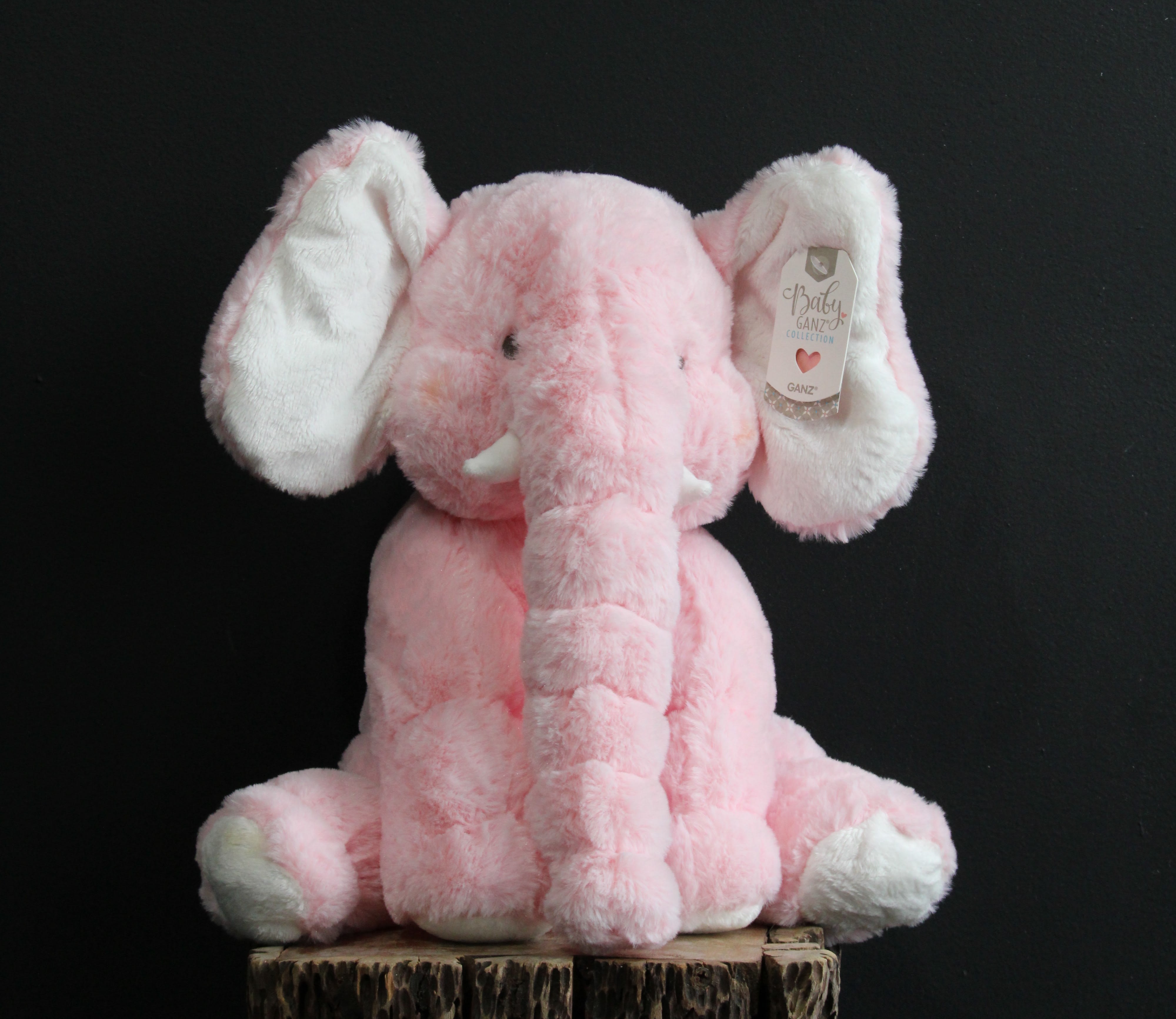 Pink Elephant by JP Parker Flowers