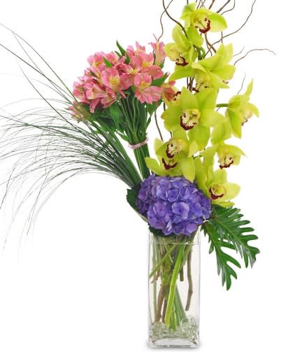 Cosmopolitan Cosmopolitan - These orchids, hydrangeas and alstroemeria will make her feel appreciated and loved. Colors may vary depending on season
