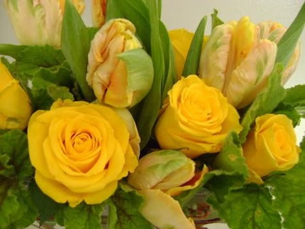 Yellow Roses and Parrot Tulips - Yellow Roses and Parrot Tulips 