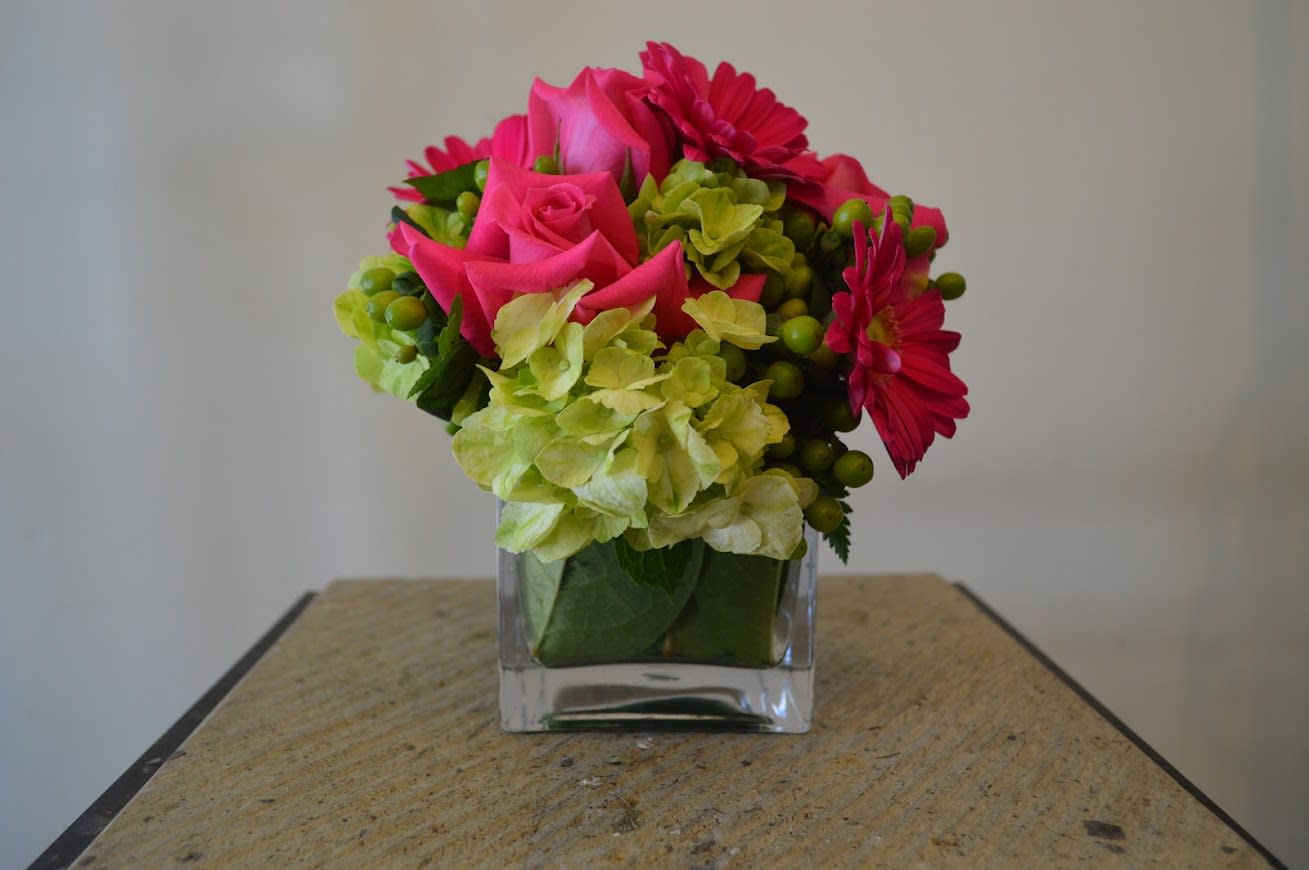 Hot Pink Roses  - Hot pink roses, green hydrangea, pink gerbera daisy, hypericum berries  have been arranged low and tight in a 4&quot; cube wrapped with leaves