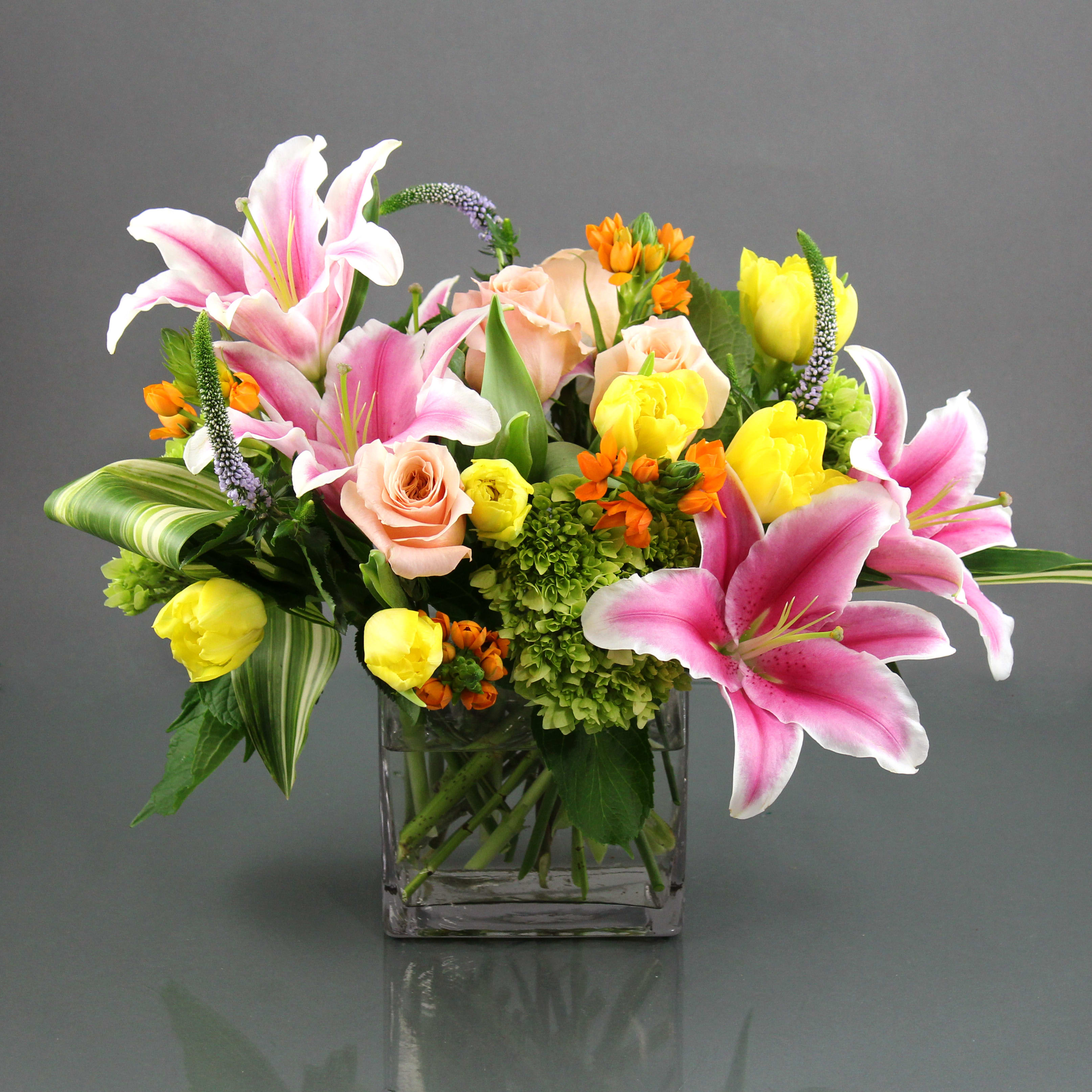 The Star Gazer in Kansas City, MO Trapp & Company