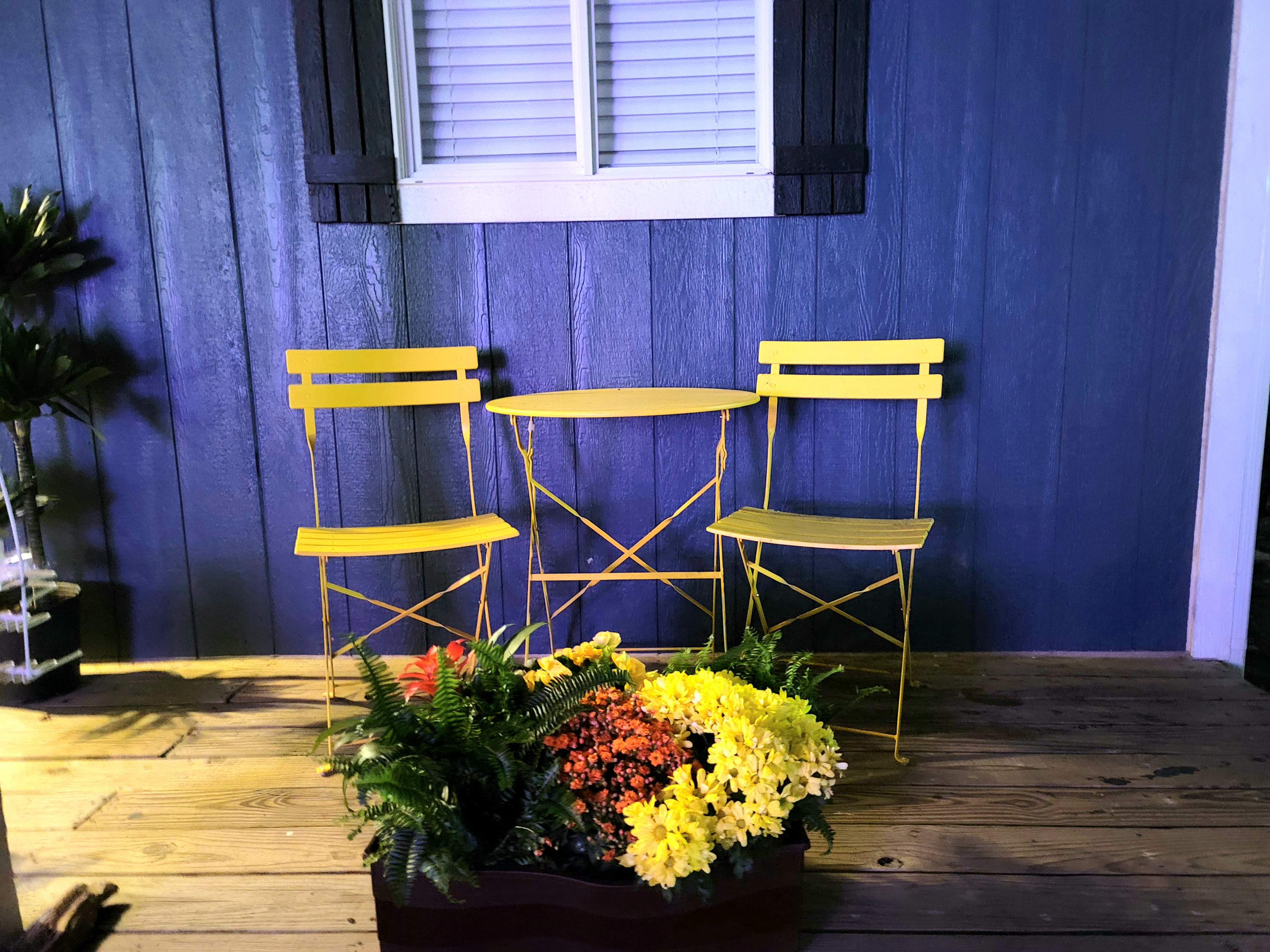 Basket Full Of Posies in Austin, TX A Flower Junction