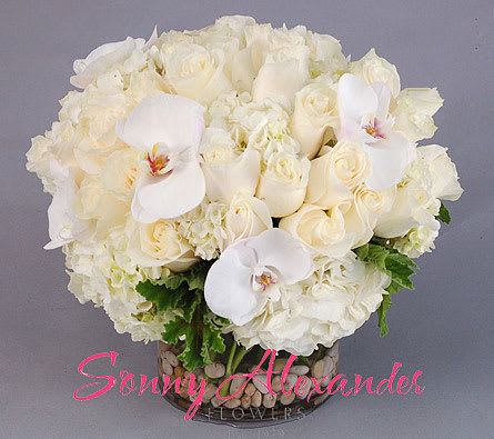 Perfectly Poised (Pictured as Deluxe Size) - Timelessly chic. Classically elegant. Roses, hydrangeas, and orchids have never looked so good! This neat and clean arrangement is the epitome of class that makes one want to appreciate the finer things in life. The picture is shown as deluxe.  Standard size measures: approx. 12&quot; x 12&quot;