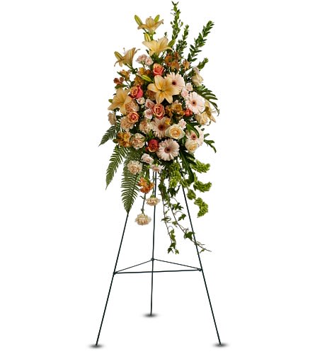 Sweet Remembrance Spray - This spectacular standing spray is created with an array of peach and orange blooms accented with greenery - including elements such as roses Asiatic lilies Bells of Ireland and huckleberry - and is a fitting floral gesture for a generous spirit. A standing spray of fresh flowers such as Asiatic lilies roses gerbera Bells of Ireland and carnations ? in shades of peach and orange ? is delivered on an easel. Approximately 23&quot; (W) x 46&quot; (H) (Dimensions do not include easel.) Orientation: One-Sided As Shown : T266-1A