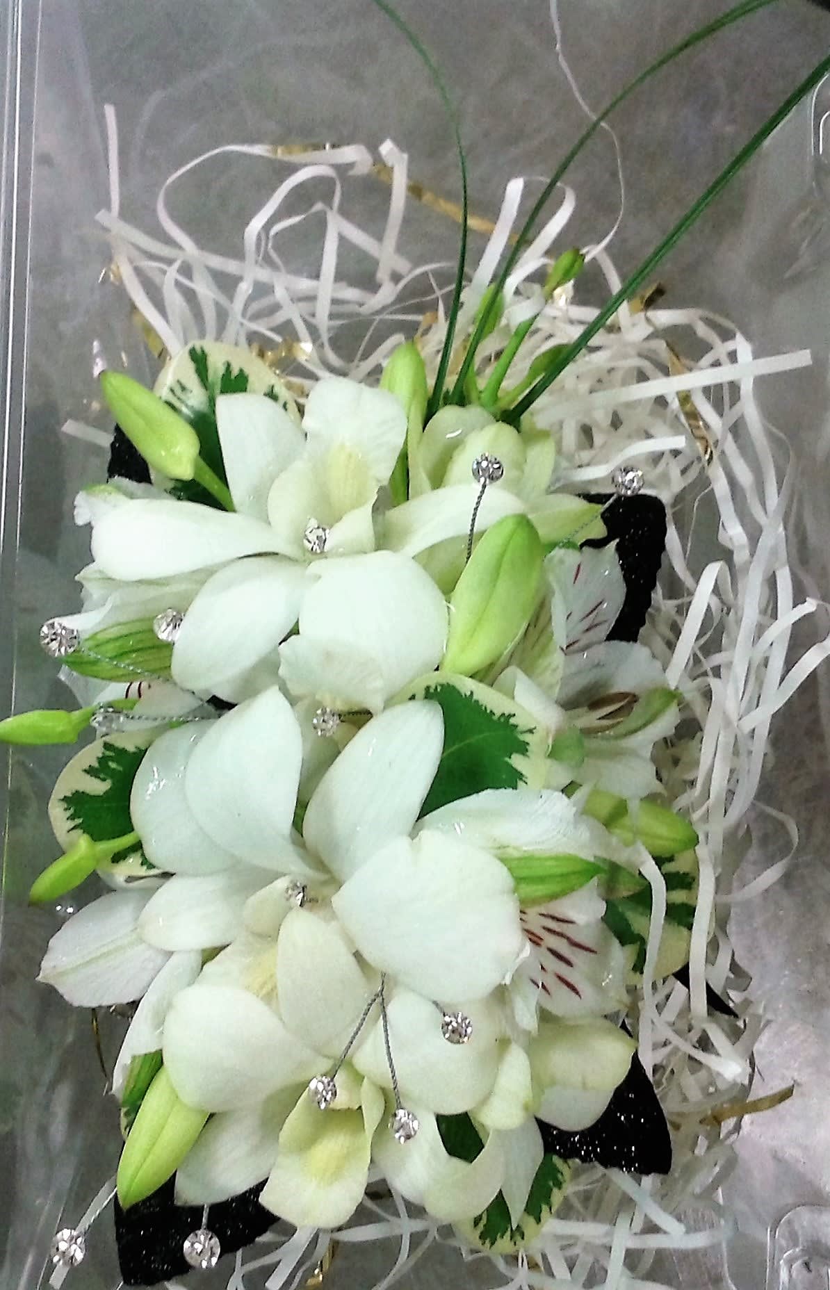 Dendrobium Orchid & Alstroemeria Wrist Corsage Dendrobium Orchid & Alstroemeria Wrist Corsage - Dendrobium Orchids accented with rhinestones, various foliage, and your choice color of ribbon.