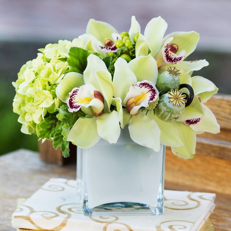 Green Orchid - Green orchids  and hydrangea in square vase with seasonal touches. White modern vase filled with green flowers will dress up anyone's desk at work or dinner table at home with floral aromas. 