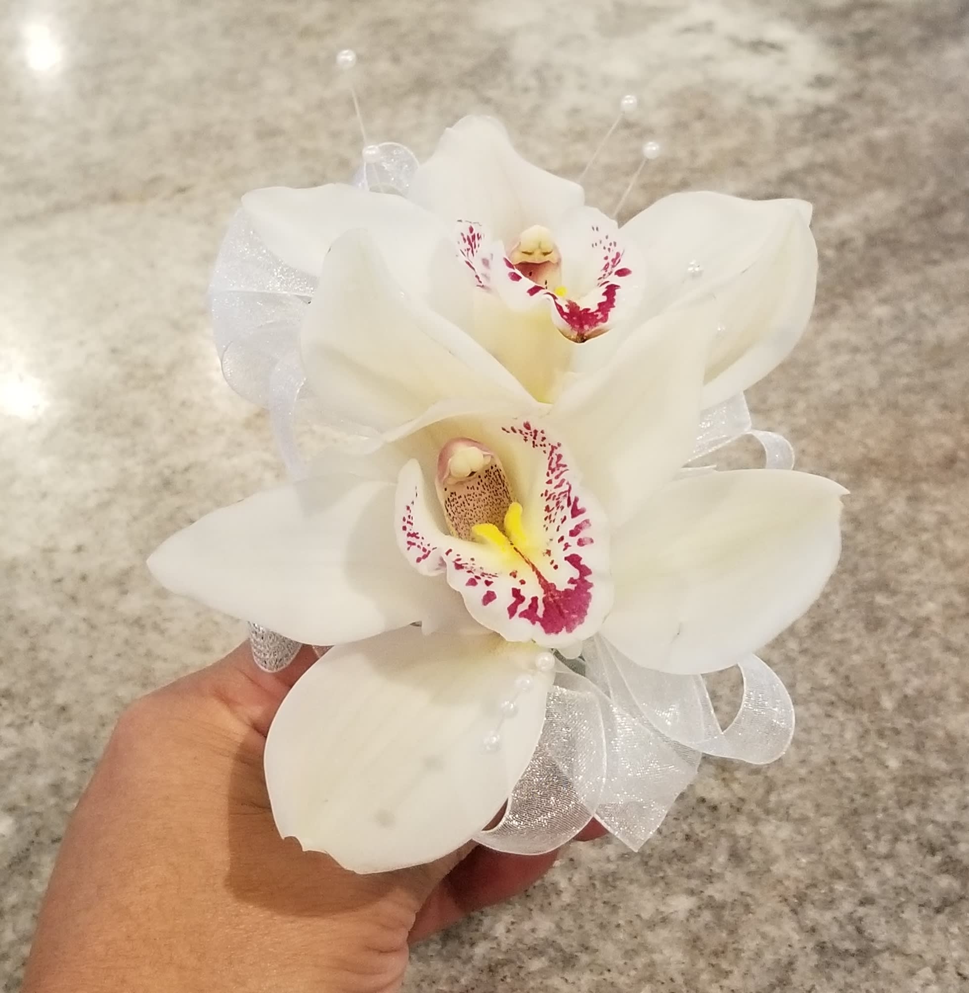 White Cymbidium Corsage 003 - Double White Cymbidium orchid corsage with white sheer ribbon and pearl sprays.