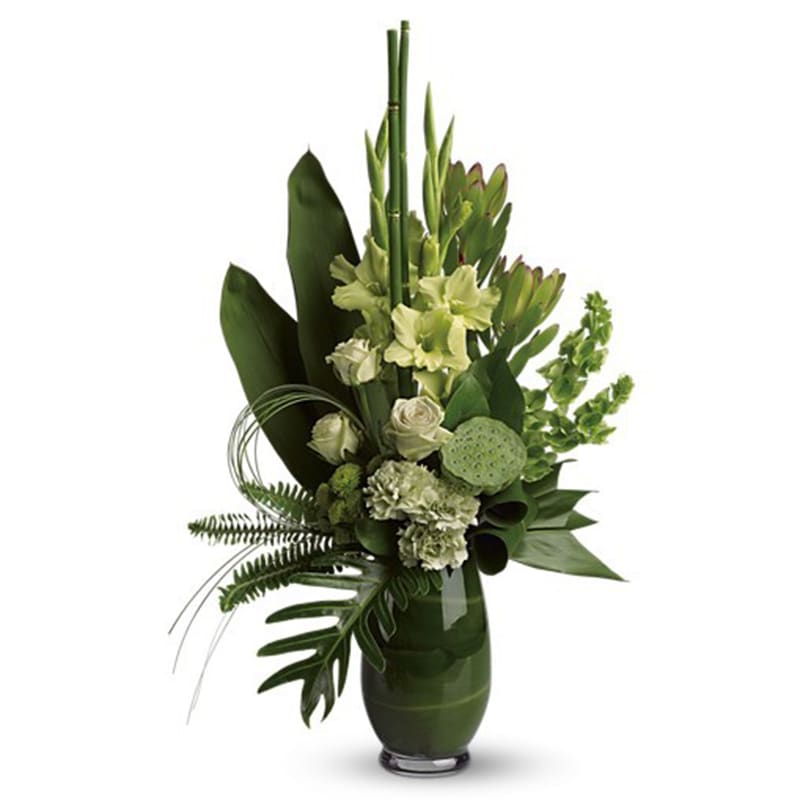 Limelight Bouquet - Certain to garner a lot of attention, this gorgeously green arrangement is a fresh idea for both men and women. Many shades of green display many shades of brilliance.  Green roses, gladioli, carnations, lotus pod, leucadendron, bells of Ireland, green button spray chrysanthemums, ti leaves, fern and grass create a lively forest-like feeling.      Orientation: One-Sided      All prices in USD ($)      Standard      T86-1A      Deluxe      T86-1B      Premium      T86-1C 
