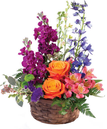 Harmony's Basket - A bold mix of colors in a basket