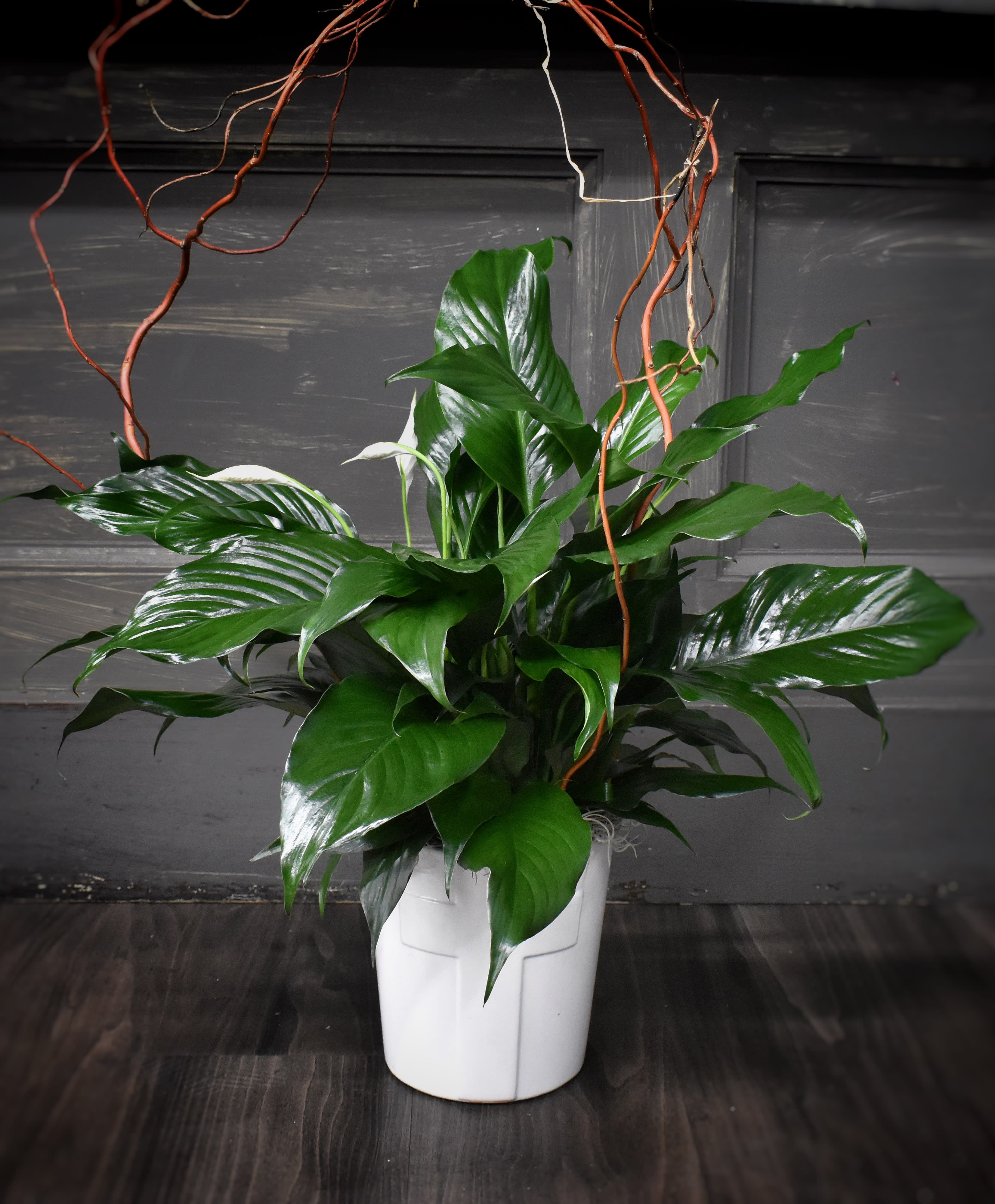 Peaceful Devotion - A peace lily (green plant) in a white decorative ceramic with a cross accented with branches.  Approximately 20inches tall by 14inches wide