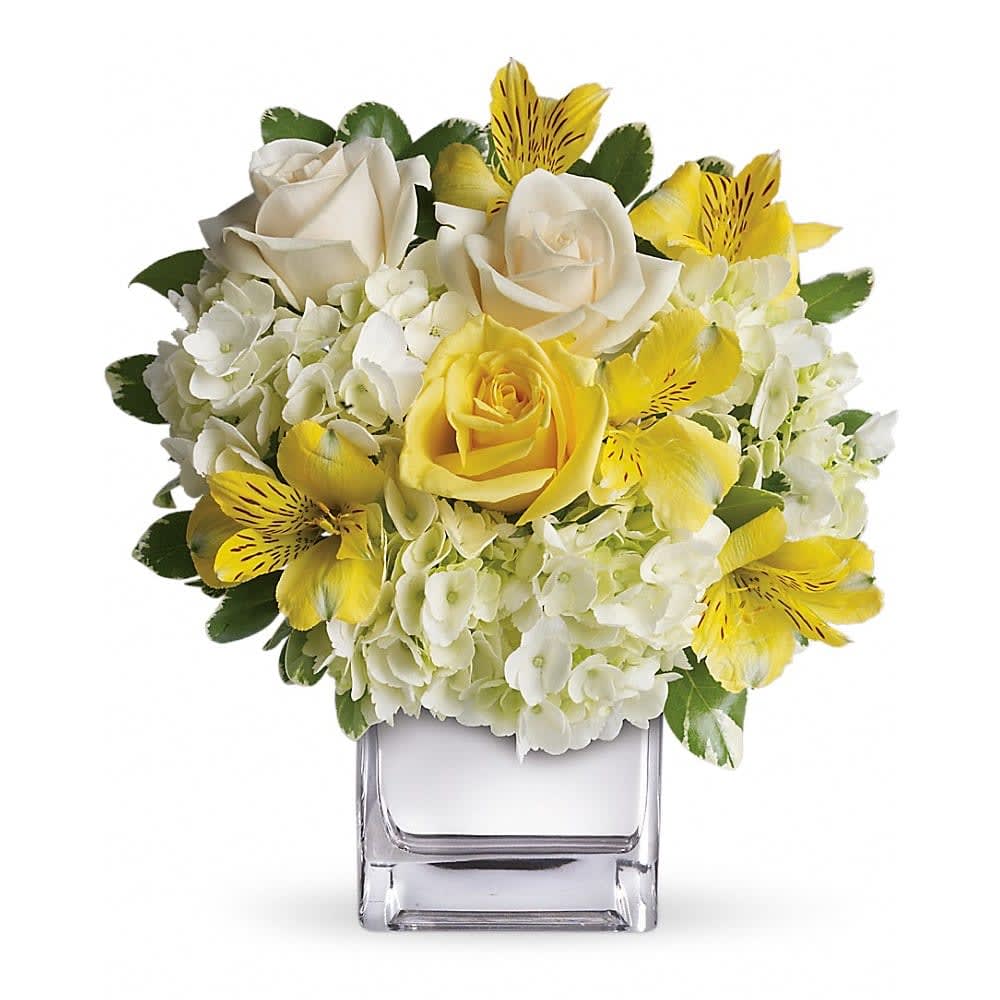 Sweetest Sunrise Bouquet - This sparkling array of sunny favorites in a silver cube vase will be the star of any room. It's a sweet gift she'll love to receive - and you'll be proud to give. Sweet price, too. The cheerful bouquet includes white hydrangea, yellow roses, cream roses and yellow alstroemeria accented with fresh greenery. Delivered in a contemporary glass cube with a mirrored silver finish.