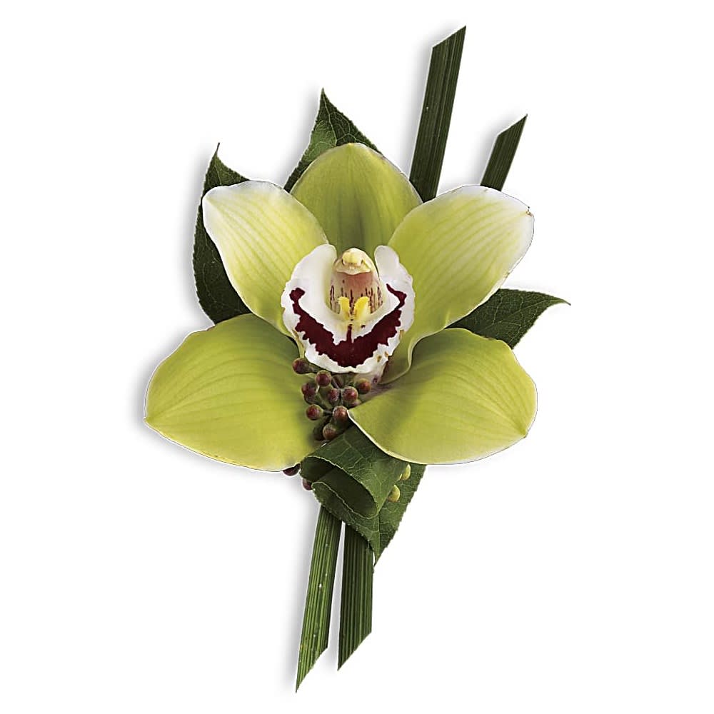 Green Orchid Boutonniere - A single cymbidium orchid makes a high-fashion statement. A green cymbidium orchid with seeded eucalyptus, lily grass and salal.